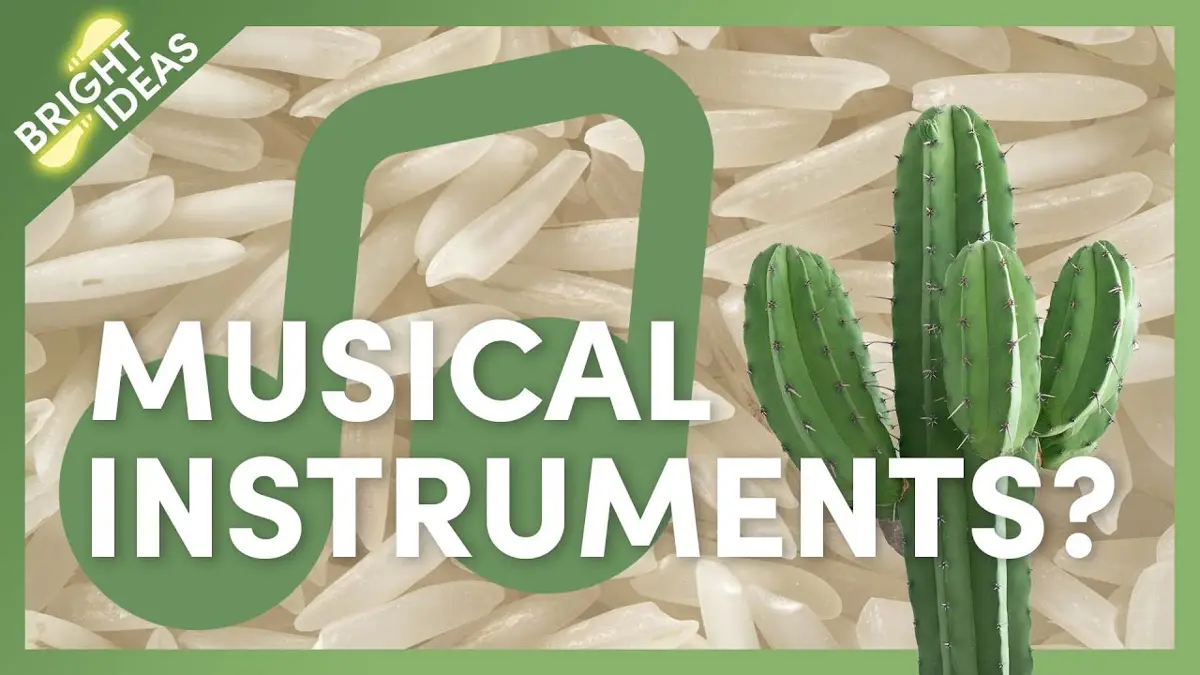 Cactus Musical Instruments