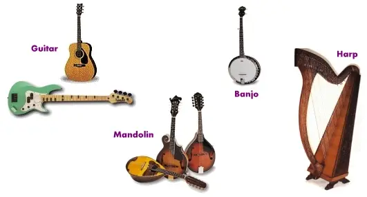 Fretted Instruments
