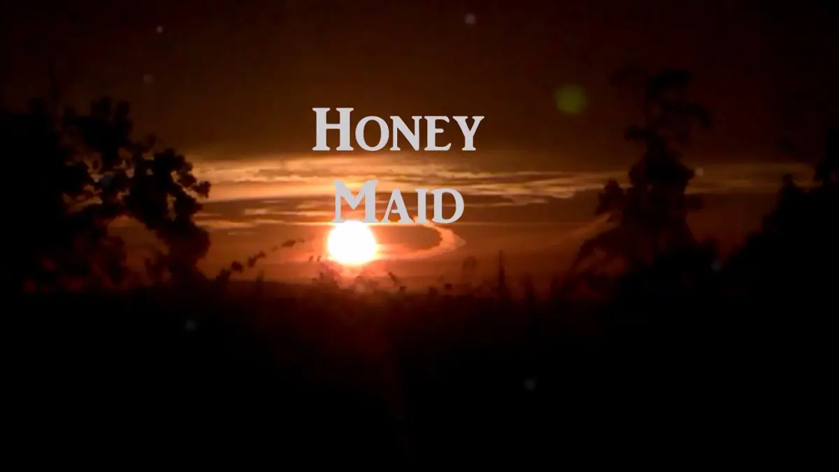 Honey Maid music