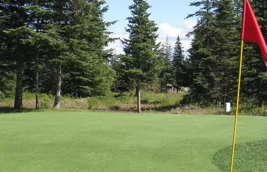 Fireweed Meadows Golf Course