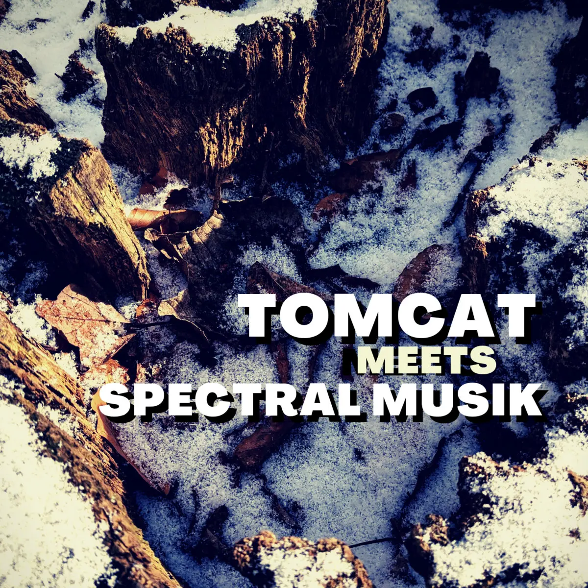 Tomcat Musik