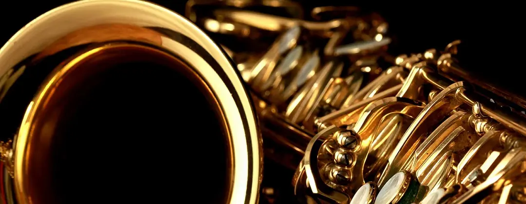 Musicians Brass and Woodwind