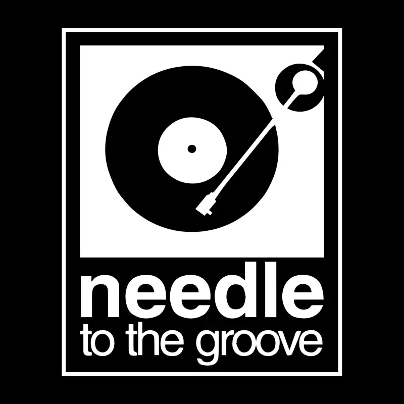 needle to the groove
