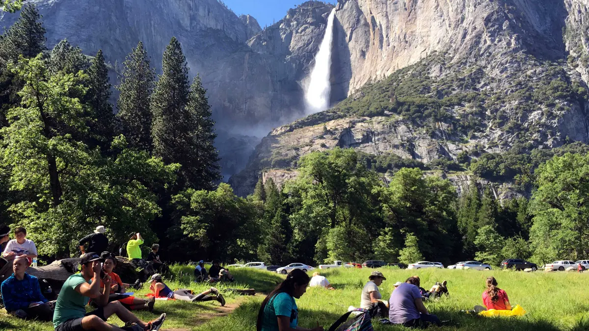 Yosemite Multiservices Ent