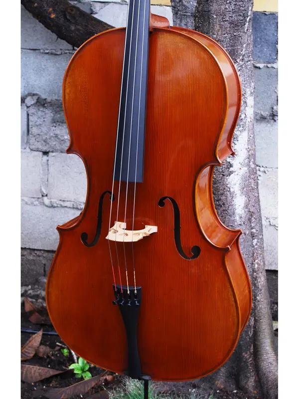 Linda West Cellos (by appointment only)