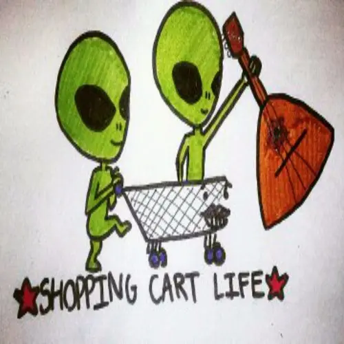 Shopping Cart Life