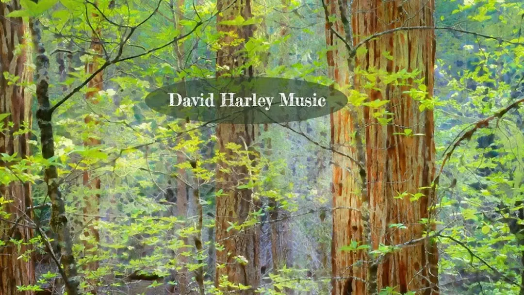 David Harley Music