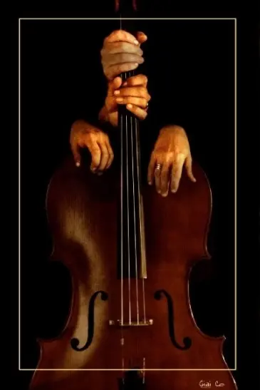 Jim Lee Cello