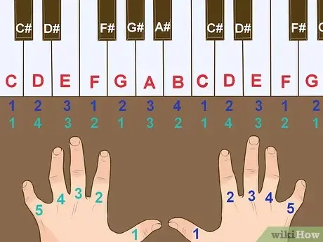Learn to Play the Organ Step-By-Step