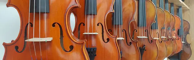 Classical Strings Inc.