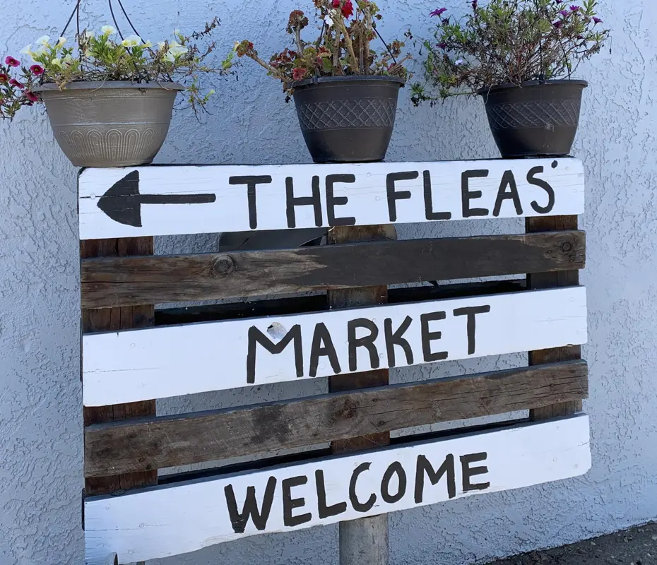 The Fleas Market