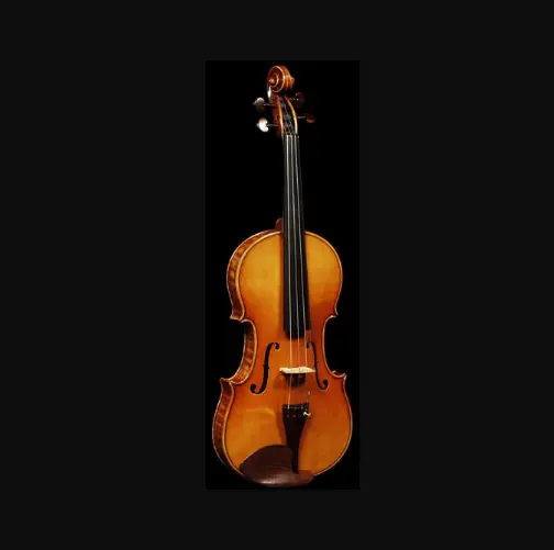 David Morse Violins