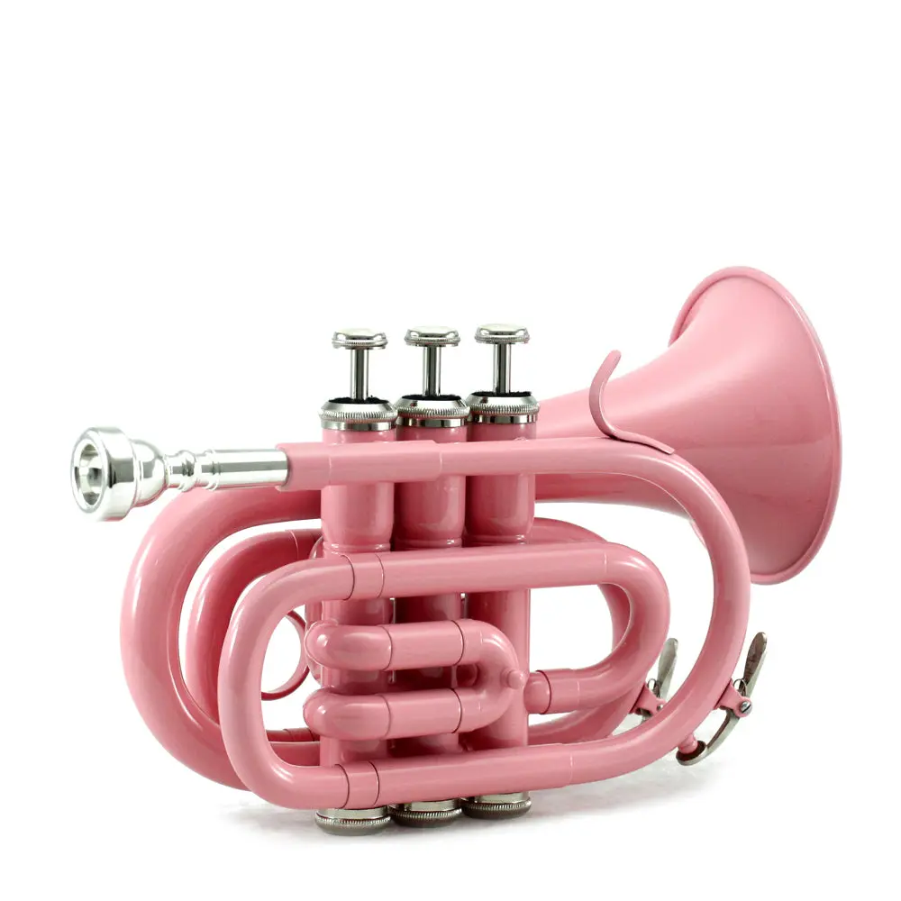 Rosa Musical Instrument