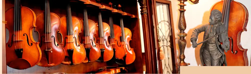 Bella Musica Violin Store
