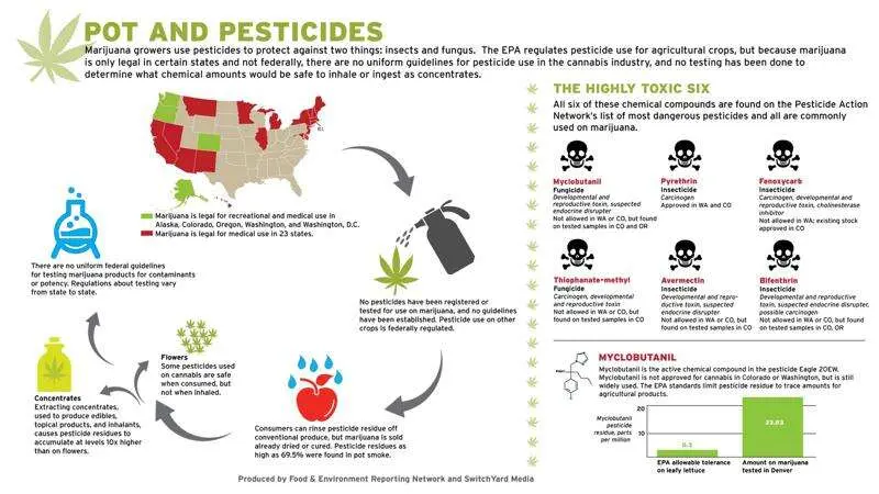 Pesticide For Humanity