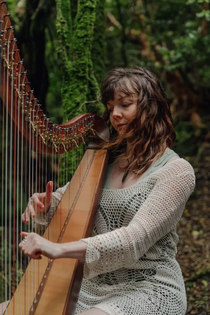 Harpist: Classical, Popular, Celtic, Therapeutic Musician, Denver, Colorado