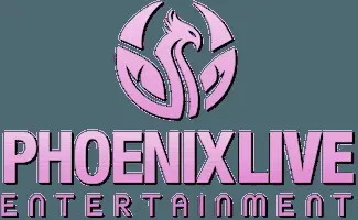 Finix Entertainment llc CT