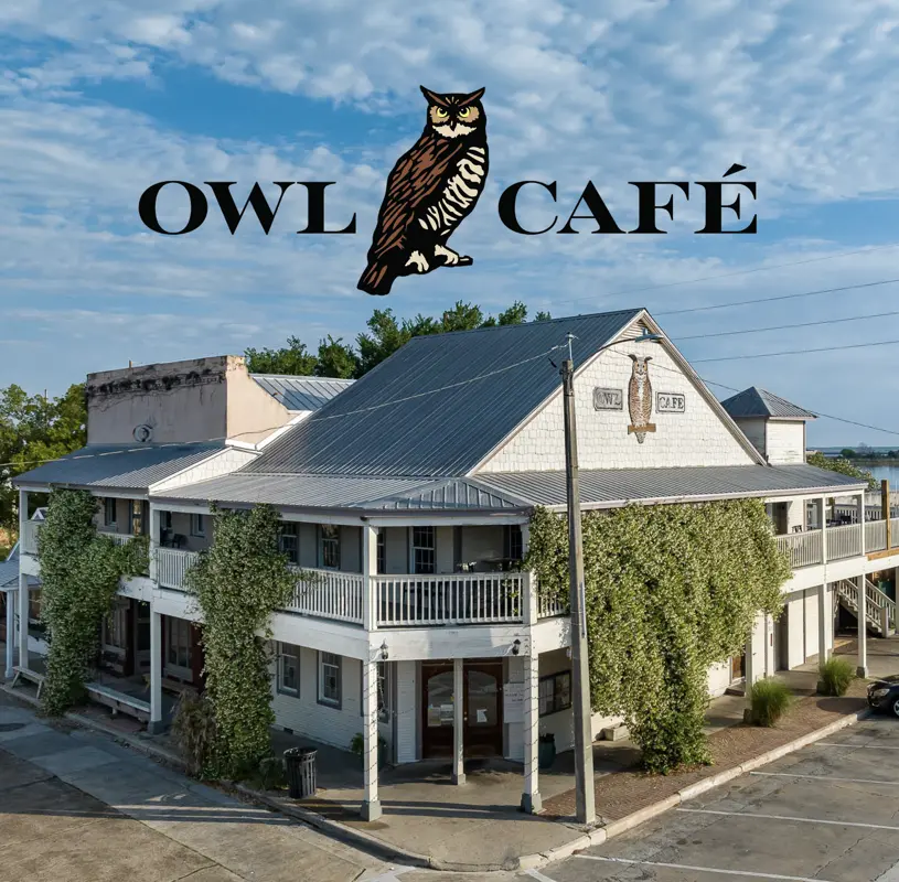 Owl Café