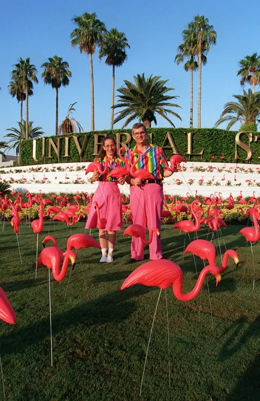 Pink Flamingo Studios