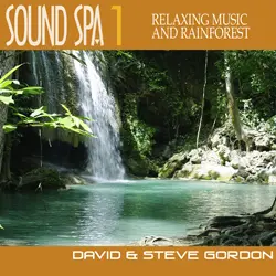 Soothing Sounds Nature Soundscapes