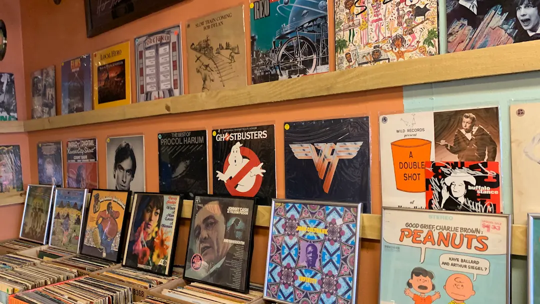 Soul to Squeeze Record & Pop Culture Shoppe