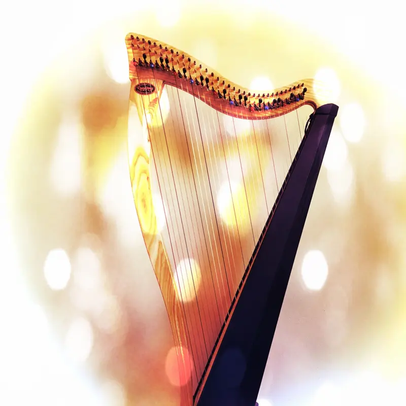 Harp Introspective