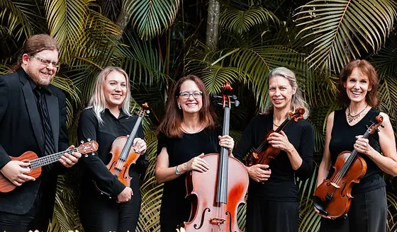 Paradise String Quartet
