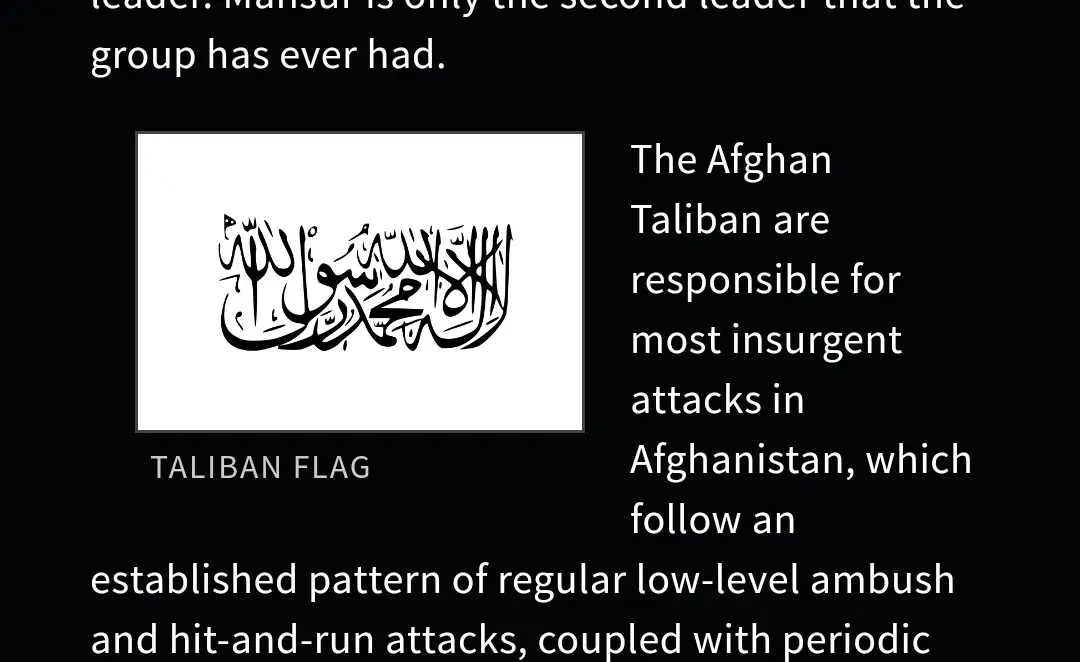Black Flag Taliban