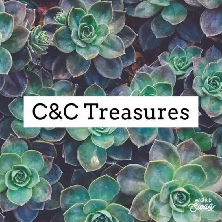 C & C Treasures