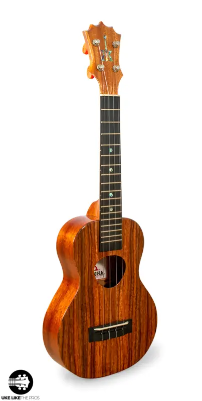 Hawaiian ʻUkulele And Guitar