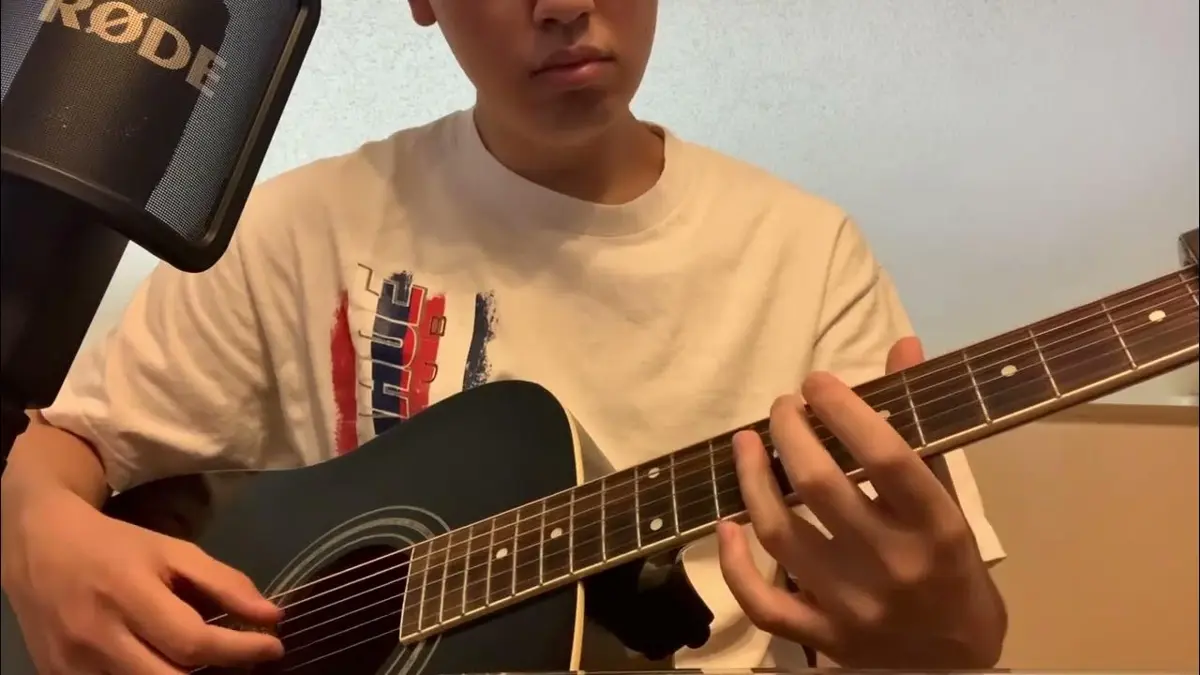 Guitar Honolulu