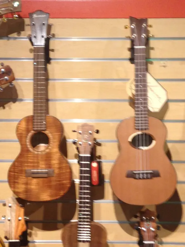 Hawaiian Ukulele & Guitar
