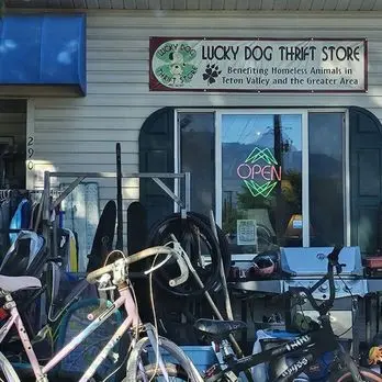 Lucky Dog Thrift Store