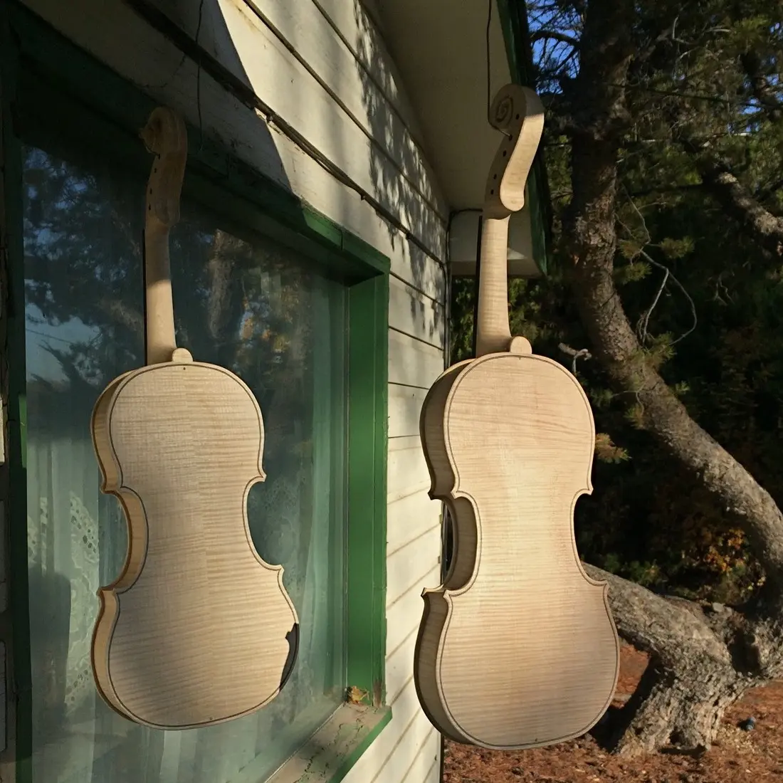 Owyhee Mountain Fiddle Shop