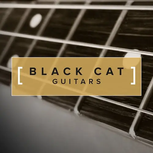 Blvk Cat Guitars