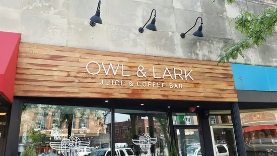 Owl and Lark