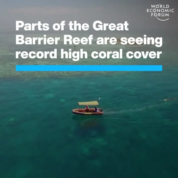Reef Records