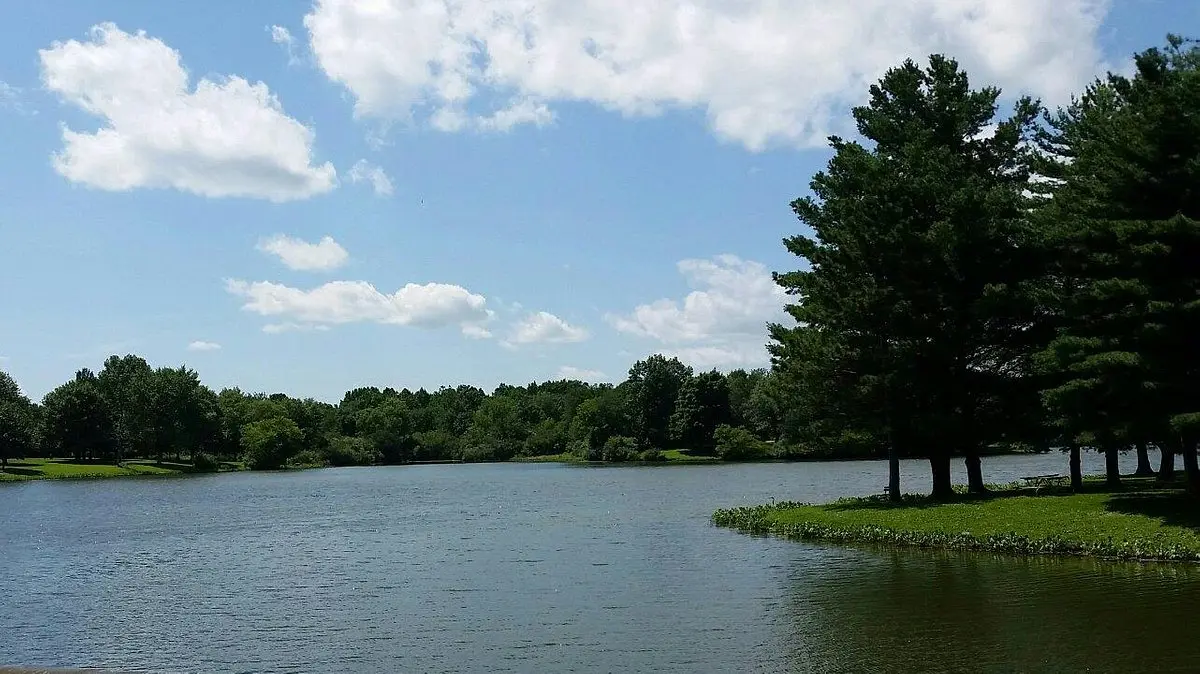 Lake of the Woods Forest Preserve