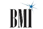 BMI records